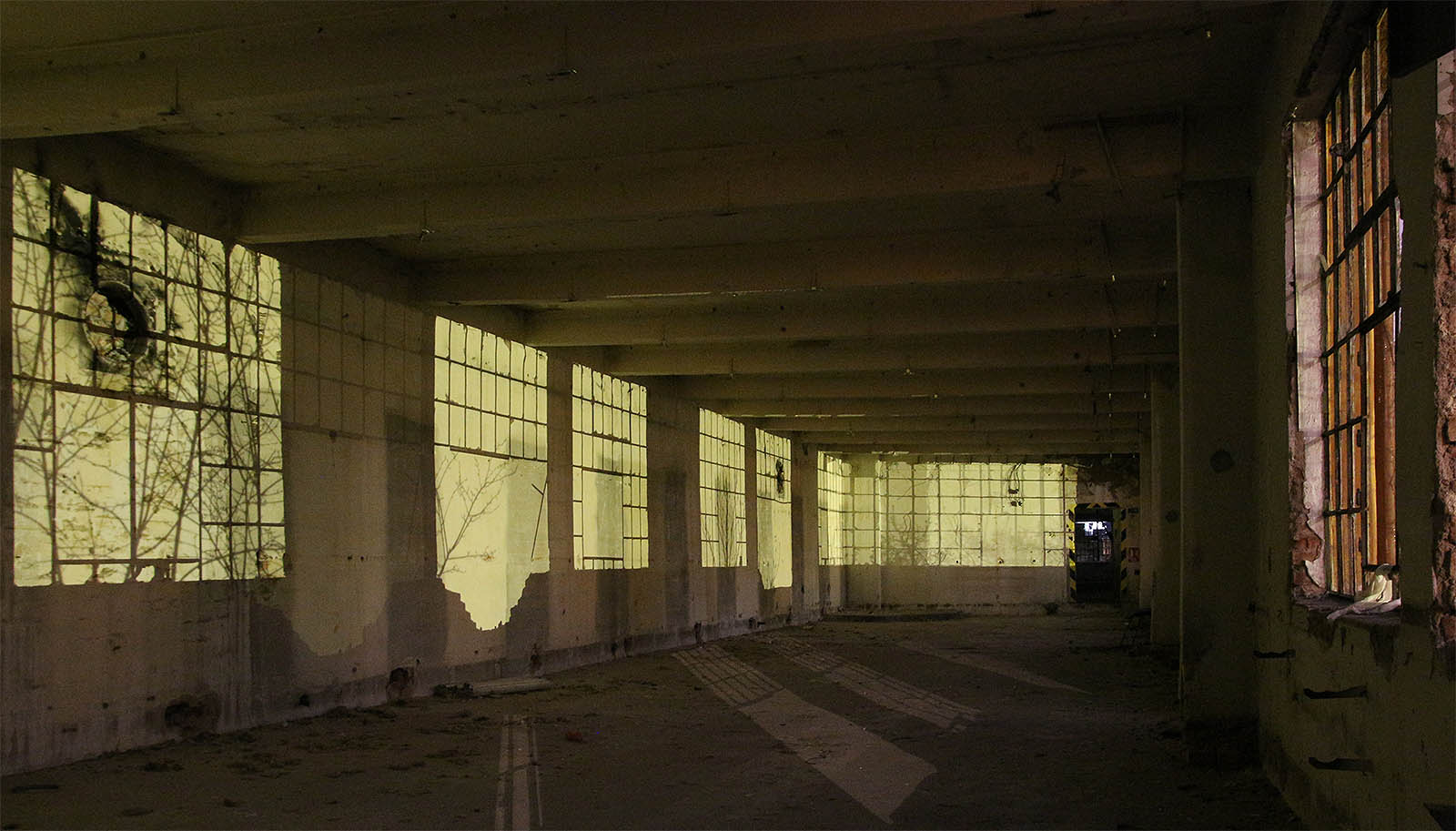 Průmět světla ze sousedního dvora, které kreslí na západní stěně výrobní haly druhou, falešnou řadu tabulkových oken.