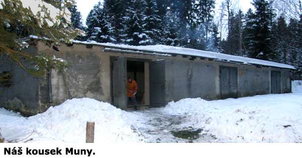 Muna Нового Года