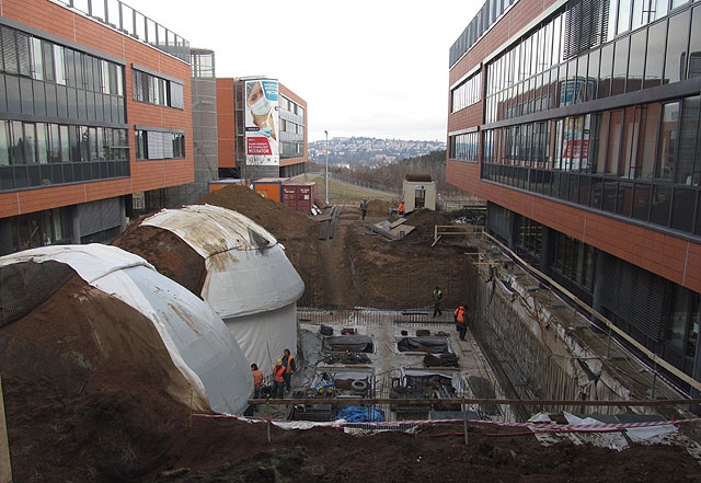 Luxusní vila po cestě z kampusu