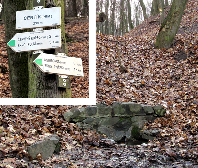 Zarostlé stráně nad řekou křižuje bezpočet cestiček zvěře, cyklistů a romantiků a taky trojice strmých roklí. V horní části nejhlubší z nich, zvané Čertík, zve k osvěžení malá studánka.
