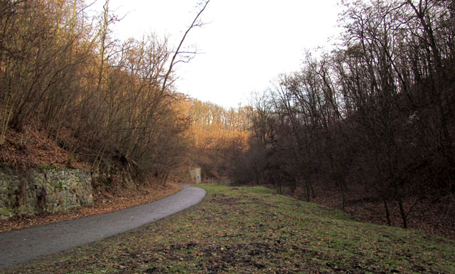 Údolím Čertík vedla cesta z Lískovce k řece a do města snad odjakživa - je totiž ideální přirozenou možností, jak překonat ostrou hranu dělící náhorní plošinu od prudkého srázu nad zákrutm řeky Svratky. Není proto divu, že bylo v 80. letech rozhodnuto vést údolím také silniční přivaděč spojující město s dálnicí D1. Nakonec ale zvítězila ochrana přírody a dálnice vede klesajícím tunelem souběžným s údolím jen o pár desítek metrů vlevo v útrobáh kopce.