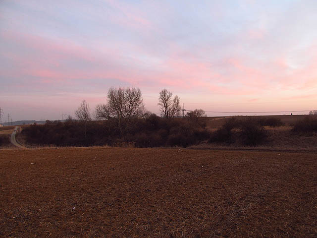 A to je ona - zarostlé těleso nedostavěné dálnice lze střídavě sledovat včetně mostů a dalších staveb desítky kilometrů na dně Boskovické brázdy.