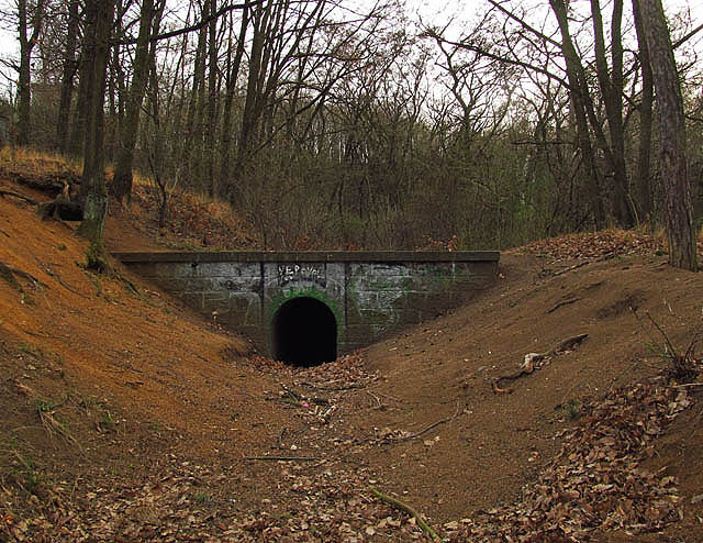 …a tak vznikl tento tunel, dlouhý několik set metrů. Potok jím ale stejně neteče.