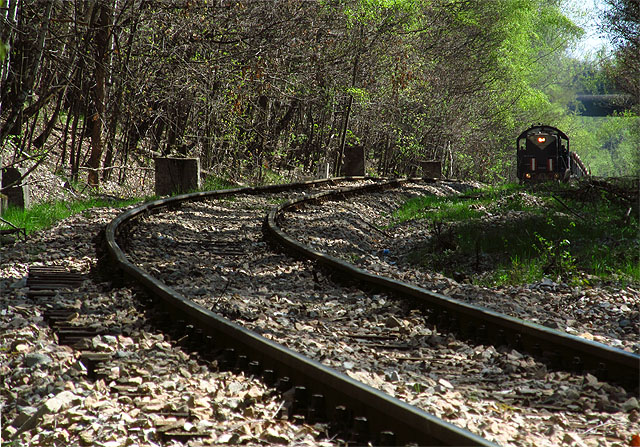 Proti nám projížděly nekonečným lesem vlaky naložené snad lupkem tak pomalu, že bylo téměř možné naskočit. My jsme ale chtěli na druhou stranu.