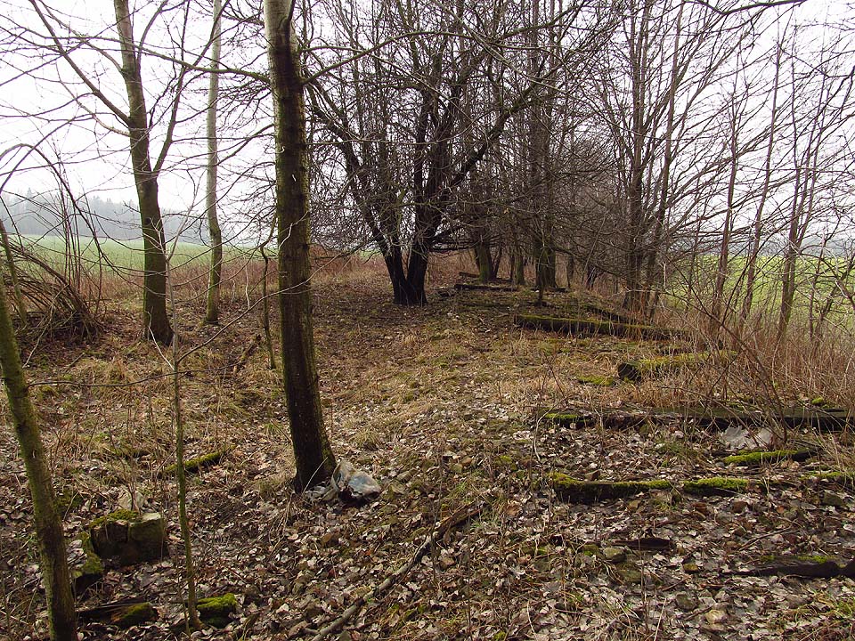 Konečně nás kolej někdejší vlečky vyvádí poměrně strmým stoupáním ven z hustého lesa na pláně mezi bývalou stanicí Biskupów a zastávkou Dlużnica, kde se připojovala k hlavní trati.