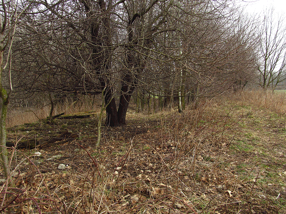 Na tomto místě odbočovala na širé trati vlečka k cihelnám a lomům. Jak byla obsluhována už dnes stěží někdo zjistí - po žádném domku ani mechanizmu zde není ani památky, jen betonový základ dává tušit přítomnost nějakého návěstidla, které krylo trať před dávno zašlými desetiletími. Kdo se na obrázek zadívá pozorně a dlouho, možná spatří i ozvěnu dávných časů.