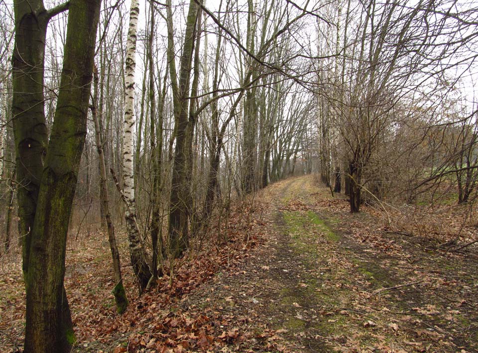 Železniční trať 251 Nowy Świętów - Sławniowice (původně Deutsch Wette - Groß Kunzendorf) byla postavena v roce 1894 jako místní trať končící téměř úplně na pruských hranicích u dnešních Velkých Kunětic. Původně existovaly plány na její prodloužení náročným kopcovitým trénem přes Velké Kunětice až do Písečné (a kdo tamější údolí zná, musí uznat, že by šlo o nádhernou trať), ale po dostavení trati Velká Kraš - Vidnava - Nysa s lepšími sklonovými poměry bylo od prodloužení navždy upuštěno. Osobní i nákladní doprava byly zastaveny v roce 1961, k definitivní likvidaci dráhy bylo přistoupeno v roce 1987. Stopuje po okolí, nejednou jsem si s místními lidmi povídal o osudu (nejen) této zajímavé dráhy. Jeden pán z Jarnoltówa vzpomínal, že na kole se dolů z hor dalo dostat rychleji než vlakem, neboť maximální rychlost zde byla stanovena na 30 km/h. Vždy, když jdu po dávno zaniklé trati, představuji si její někdejší slávu a přemýšlím nad tím, proč němečtí obyvatelé neváhali obětovat práci, aby dovedli koleje až sem do zapadlého příhraničí a v rámci Polska už trať jen upadala a chřadla. Jedno ale vím jistě - určitě se ještě několikrát vrátím, abych zdokumentoval i zbývající úseky zapomenuté dráhy.