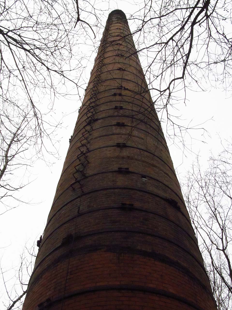 Nakonec jsme se probojovali houštinami až zpátky ke komínům. Ani pod jedním z nich nestojí žádná budova. Jejich štíhlé kužely vyrůstají přímo ze země a v zemi také končí průduchy vedoucí bůhví kam; nedivil bych se, kdyby vydechovaly jedovaté nebo omamné plyny. Ticho a rychle plující černé mraky.