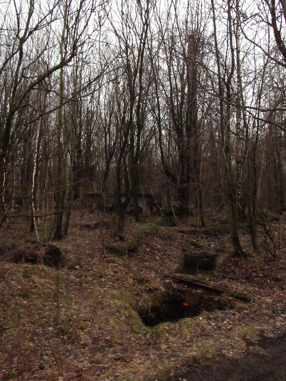 Snad každý čtverečný metr je tu potřísněn historickou činností. Brzy domýšlíme, že všechny podivné trosky zarůstající lesem jsou pozůstatky komplexu cihelen a lomů, které je zásobovaly hlínou či šamotem. Příkopy sloužily k odvodnění a po náspech a rampách nejspíš vedly úzkokolejné drážky s vozíky plnými hlíny. My se ale pokoušíme stopovat vlečku k hlavní trati, na níž ještě tu a tam zůstávají pražce i s hřeby.