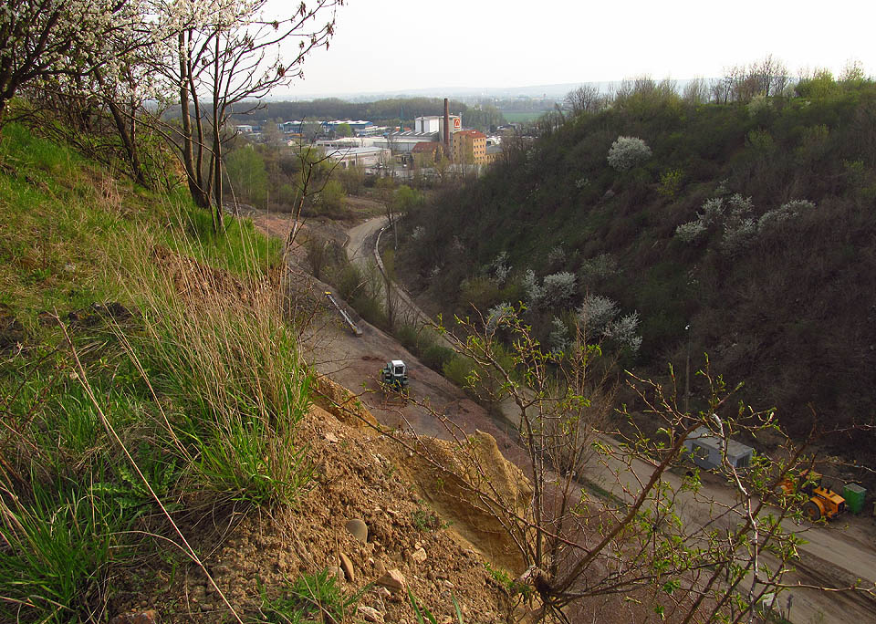 Mimoděk jsem si vzpomněl na úryvek z básně od Holuba:<br />
Den jasný, že se až okna otvírala,<br />
prsa trávníků se dmula radostí<br />
a auta na silnici zpívala velkou asfaltovou píseň.<br />
V Lobzích spadl pes do lomu a plakal…
