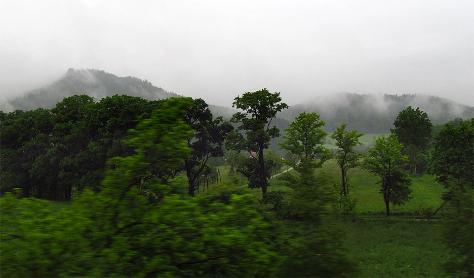 Jízda rychlíkem do Wałbrzycha místy připomínala průjezd deštným pralesem. Kdyby měli ve Venezuele vlaky, z okénka uvidí toto.