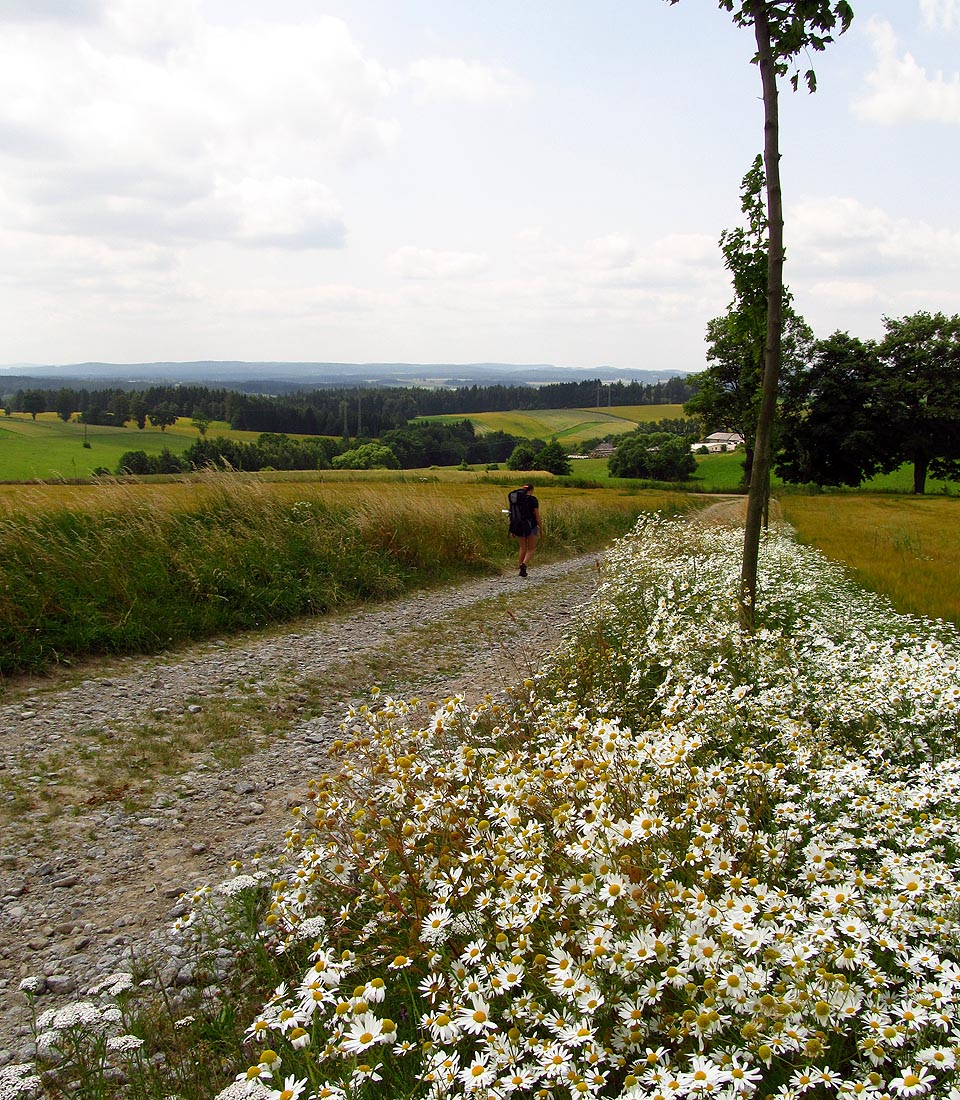 Tábor teď poběží čtrnáct dní svým životem. My s Drobkem odcházíme údolím Šlapanky do Polné na autobus.