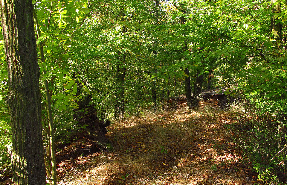 Srub je dobře schován mezi skalami a stromy - nic zlého se mu nestalo.
