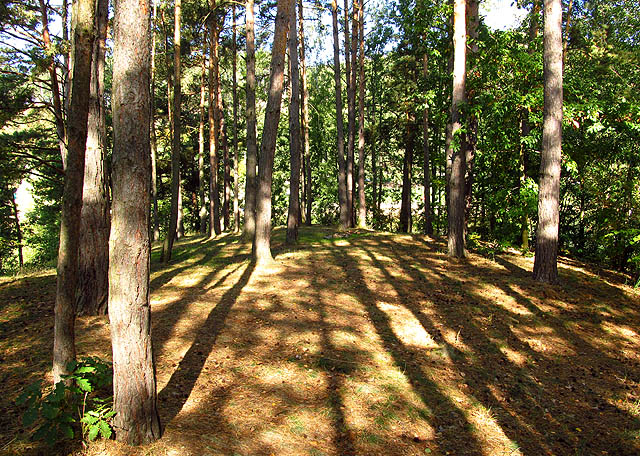 Nasnídali jsme se na ostrově v zátoce Lavičky, kde jsem před deseti roky strávil týden na prvním táboru Halahoje.