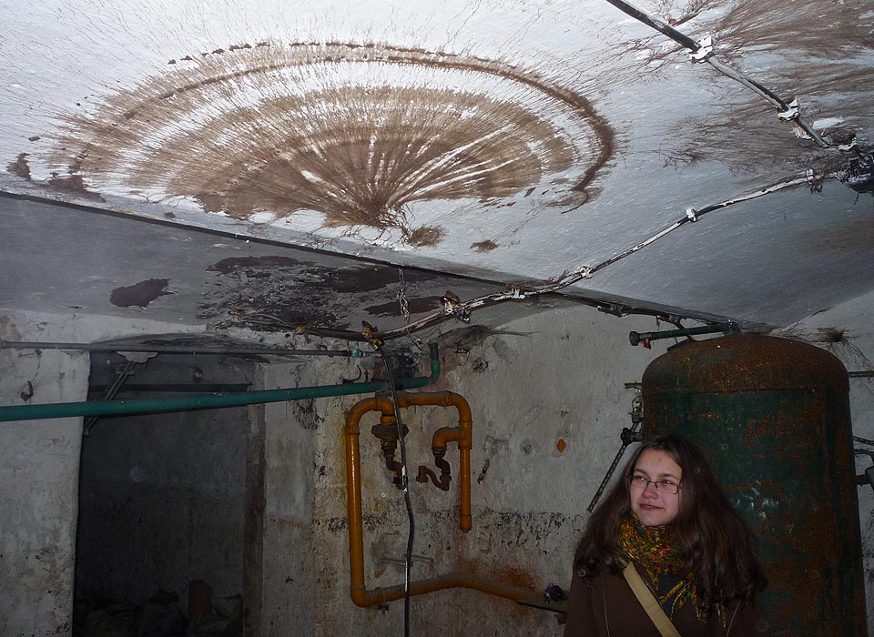 Kotel je navždy vypnut, sklepení požírají vějířovité pletence šlahounů plísně. Nenasytná plesnivina zde dosahuje nadlidských rozměrů.