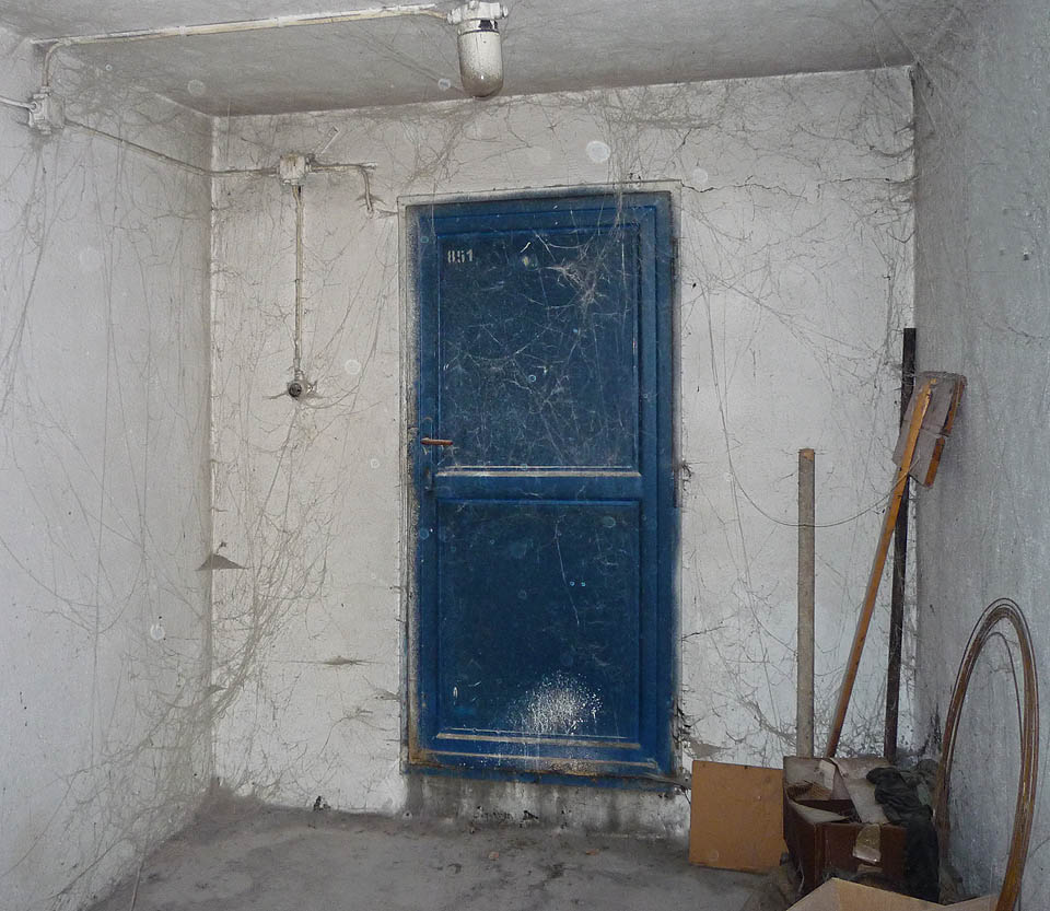 Příroda si nachází cestu i do nejodlehlejších částí továrny. Nejen pavučiny, ale také rez, voda, myši, tráva, stromy a keře nakonec pohltí vše.