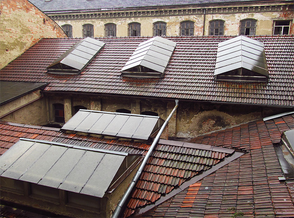 Hmoty továrních hal se místy vrší na sebe jako rostliny v pralese, které se v zuřivém boji o světlo pnou do výšky jedna po druhé.