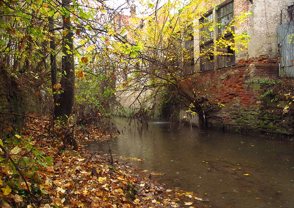 Východní hranici areálu tvoří <a href="/Tema/Svitavský náhon">Svitavský náhon</a>, který se vynořuje z podzemí, aby obkroužil továrnu, již kdysi zásoboval vodou.