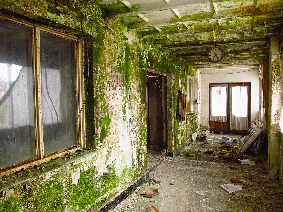 Chodba s píchačkami se vrací do lůna přírody.