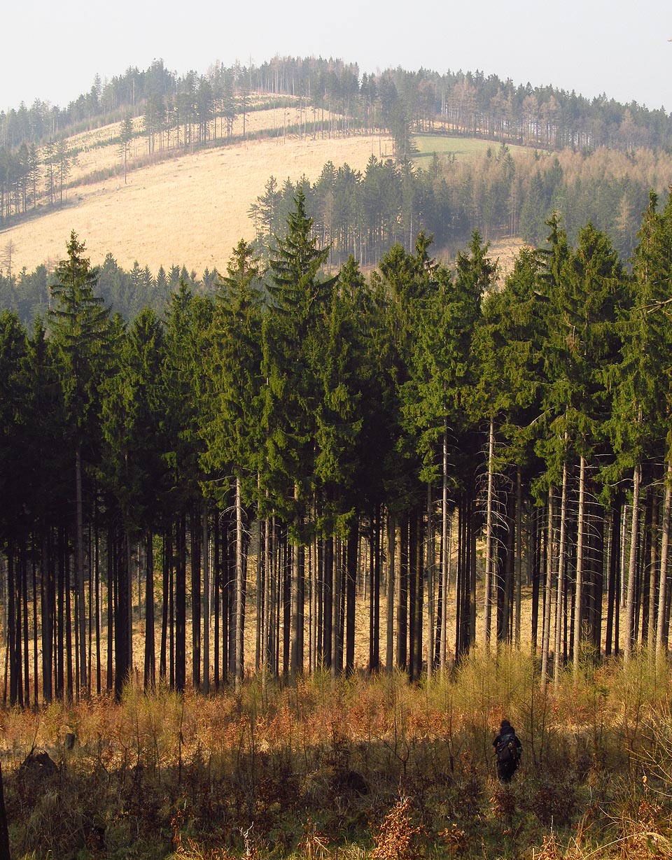 Na slovenské straně jsou už louky zelené, na moravské straně žluté jako sláma.