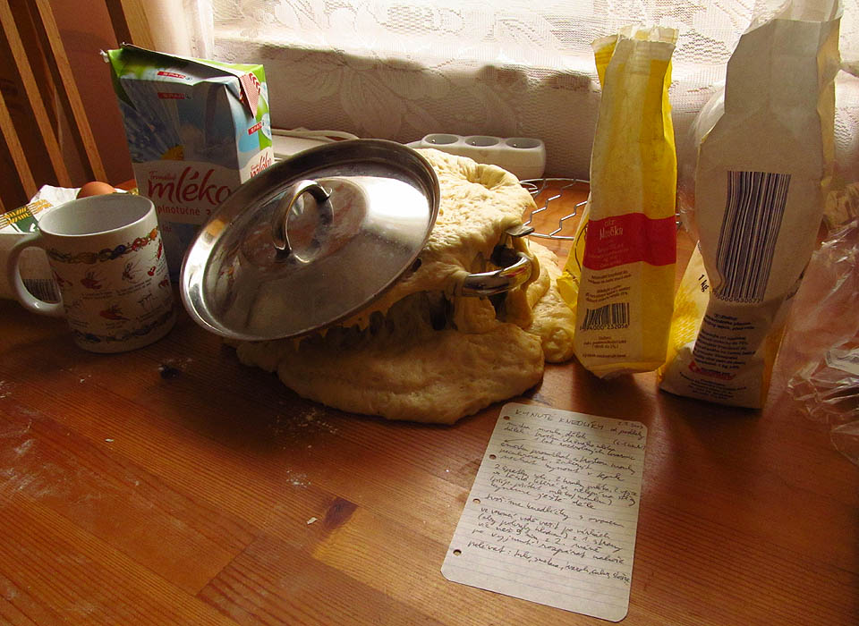 Opravdu kynuté knedlíky!