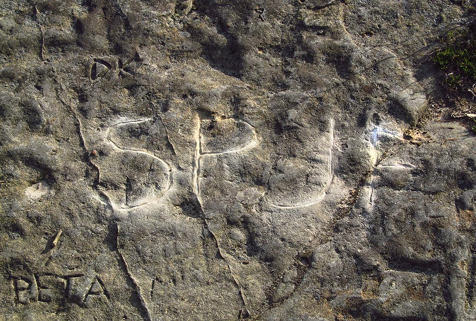 SPJF si také zaslouží být zvěčněno na budislavské mluvící skále.