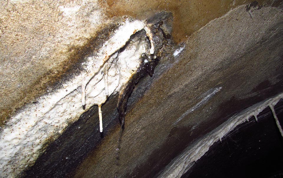 Ve štole lze najít zajímavé, ale také nechutné věci.