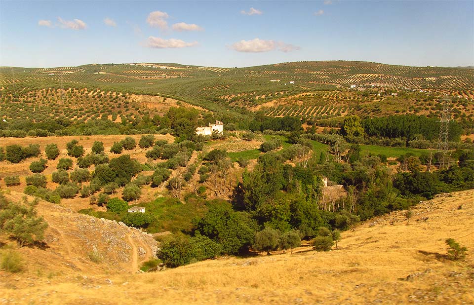 Typická krajina jižního Španělska.