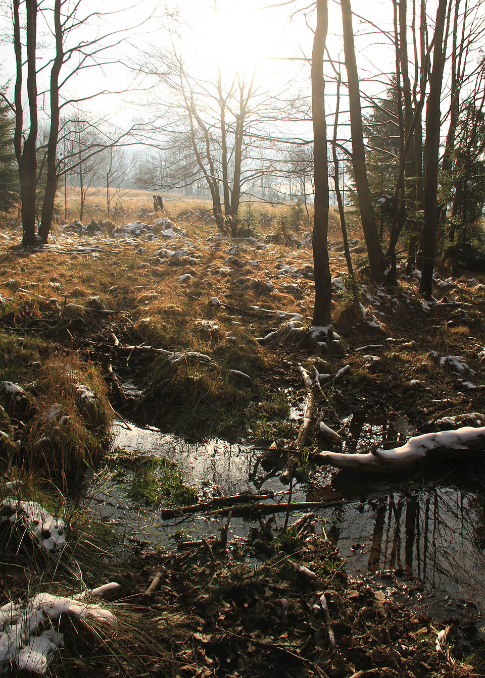 Pohybujeme se raději mimo cesty. Přes bezejmenný potůček vcházíme na první dopadovou plochu s příznačným návem Padrť. Sem v minulosti dopadaly tuny dělostřelecké munice.
