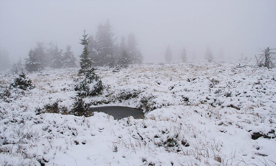 Dopadová plocha Tok. Prakticky bezlesé hřebenové vřesoviště je poseté krátery po granátech. V tůních je vidět zamrzlou hladinu temné vody, ze které občas trčí kusy ocelových nábojů. Vichr žene mlhu a sníh do očí, jako by už ani nebyl listopad.
