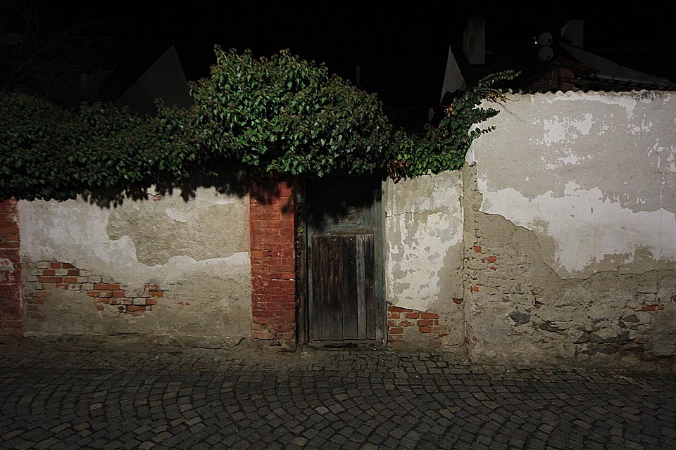 Že by zahrada Uctívačů břečťanu?