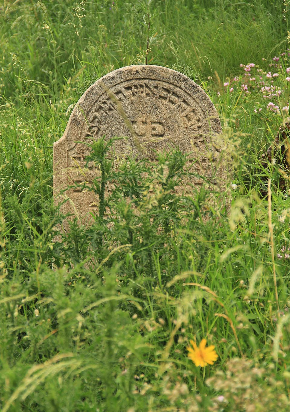 Udržován je jen v nejnutnějším rozsahu a i díky tomu nepozbyl mnoho ze své romantiky opuštěnosti a nevyřčených tajemství, kterou se pyšnil po většinu 20. století.