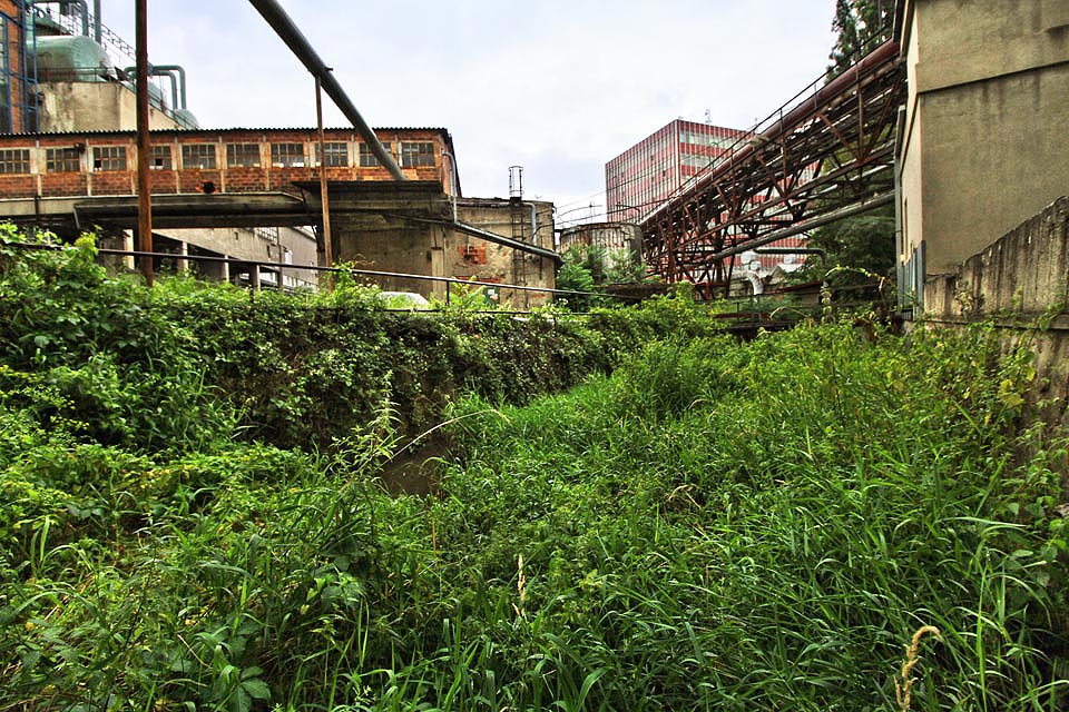 Divoká příroda v korytě náhonu uvnitř areálu tepláren je jiným světem, který nemá se současným brnem mnoho společného. Druhé Brno, jak se sluší a patří.