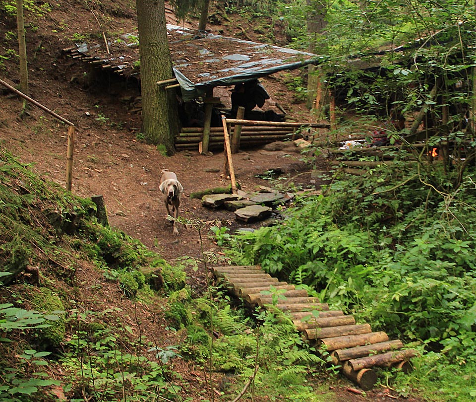 Kemp osady Silver River z Kralup nad Vltavou leží v sevřeném údolíčku nad potokem, který protéká přímo pod lavicí v boudě za ohništěm.