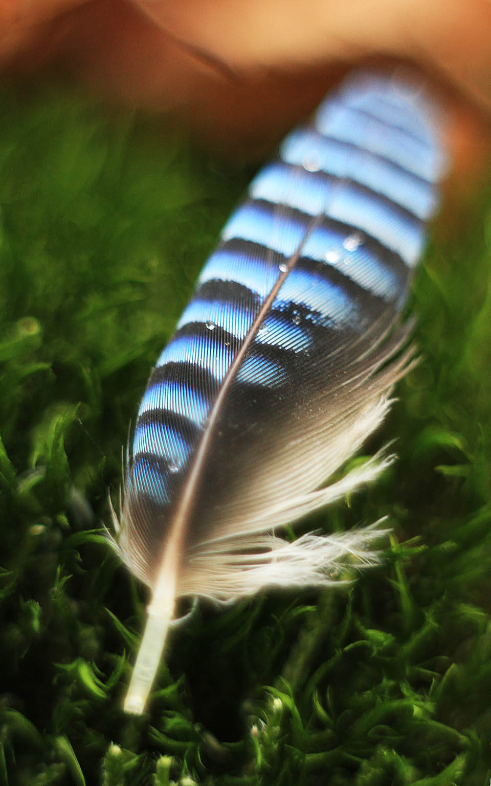 Podzim je definitivně pánem času.