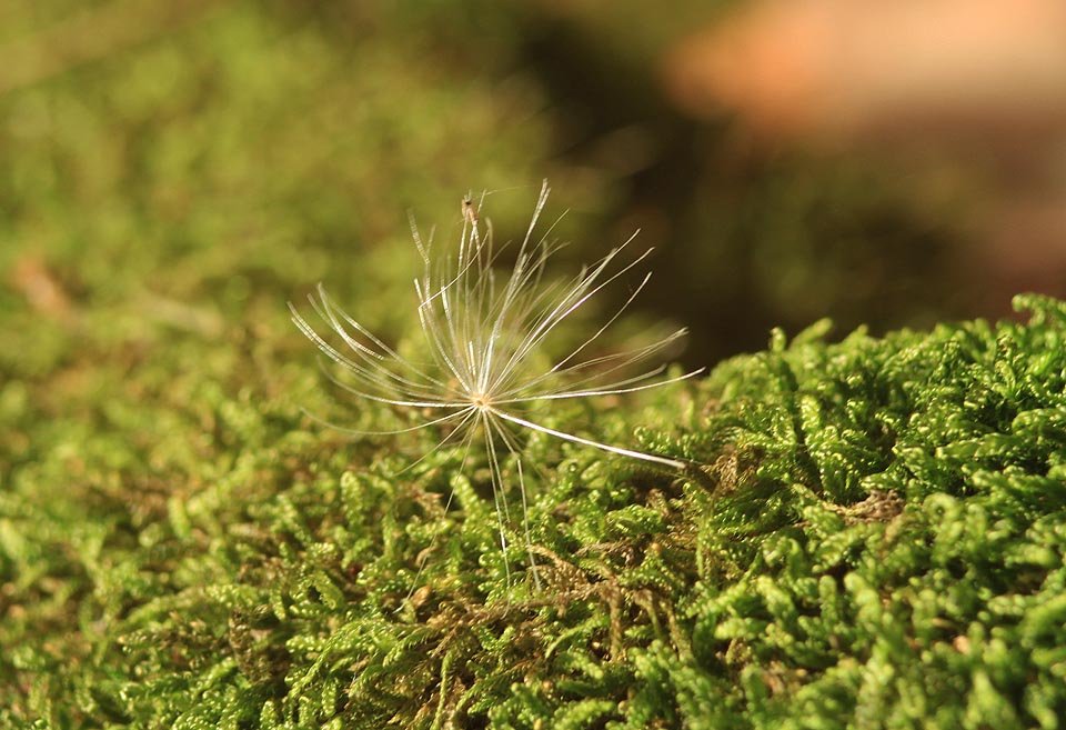 Babí léto je v plném proudu.