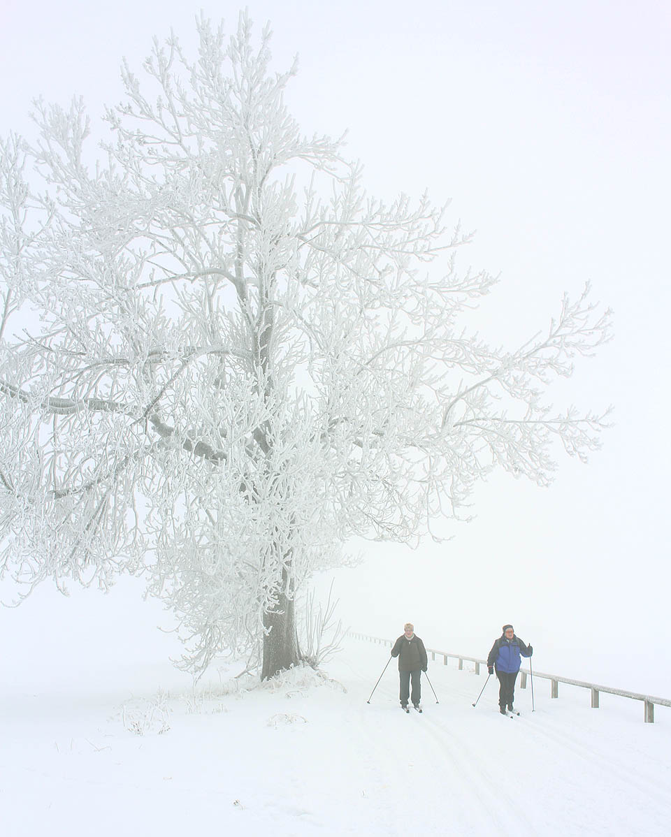Počasí bylo takové… bílé. Čas od času mlhou jemně prosákla modř oblohy, ukrytá určitě jen pár (desítek) metrů nad námi, avšak mlha se za celý den nezvedla ani na minutu.