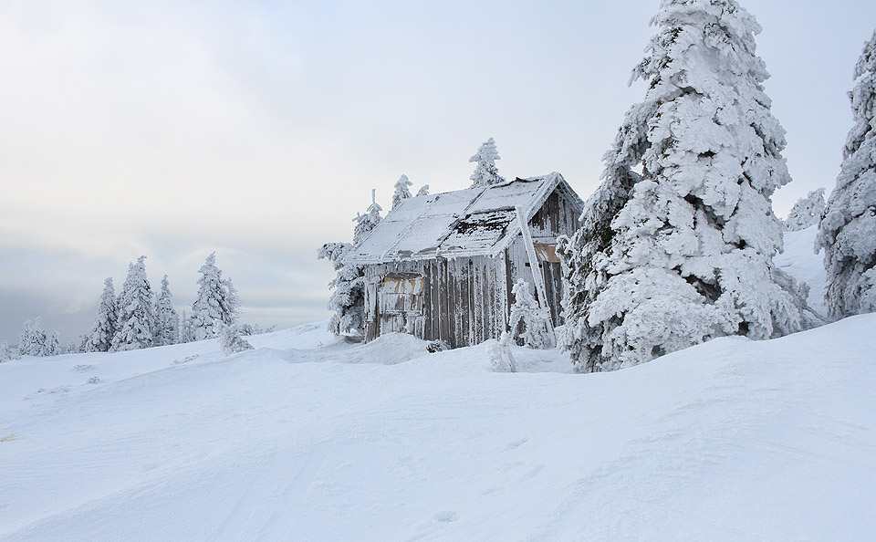 Ráno se zdálo být počasí trošku lepší, i vítr se zklidnil tak, že stačilo mít na hlavě obyčejnou čepici. Nazouváme běžky a míříme zpátky na hřeben.