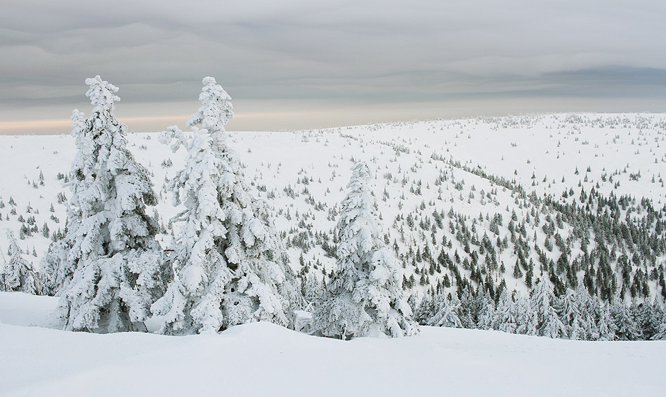 Mraky vypadaly z výšky jako valící se hustý olej, na kterém vznikaly ladné vlny.
