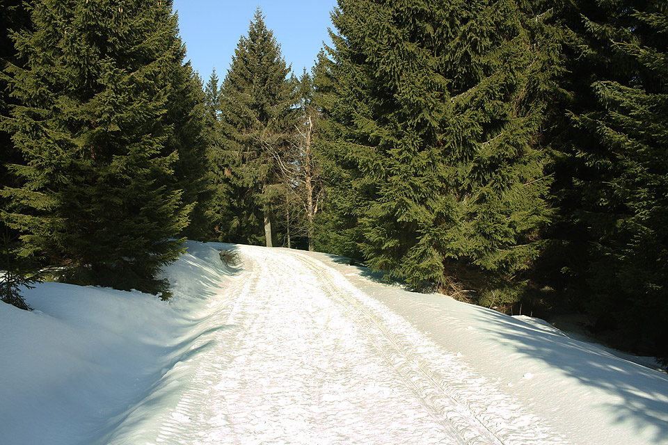 Někde mezi Jelení studánkou a Alfrédkou pro mě začalo jaro roku 2017. Zima se ještě snaží, ale u mě definitivně skončila.