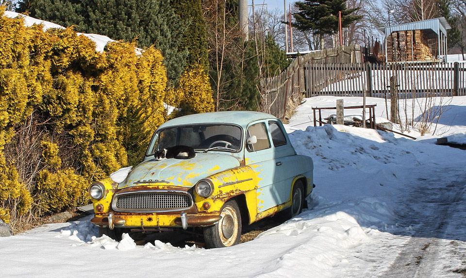 Opodál se na maskovací Octavii slunila jarní kočka.