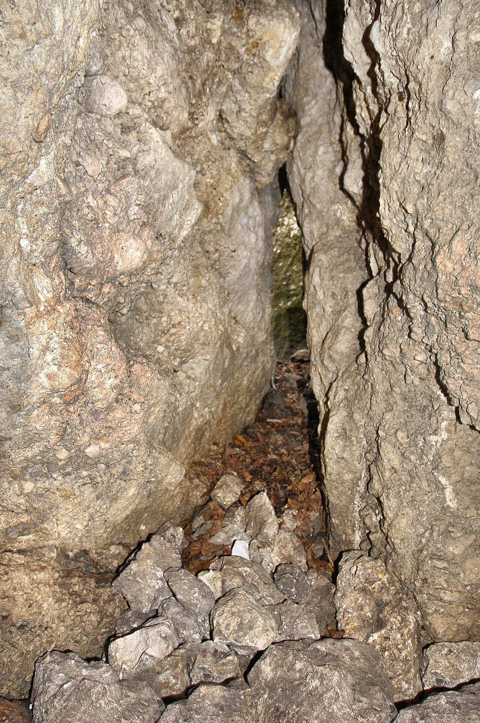 Pod hradem je jeskyně, do které prý chodí umírat zvířata. Já jsem se úzkým otvorem do sálu s jejich kostmi neprosoukával, zemřít totiž zatím nechci (pohled z jeskynní chodby ven).