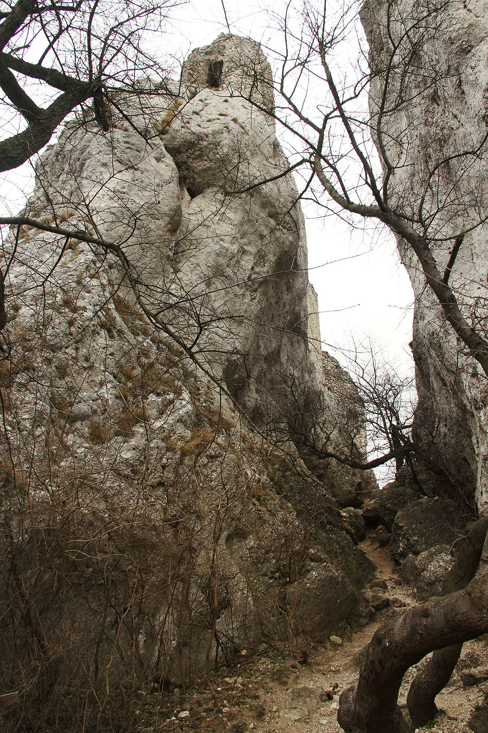 Soutěska mezi dvěma věžemi Sirotčího hrádku je brzy na jaře ponurá. Liduprázdné bílé skalní stěny kontrastují se zmrtvělými černými větvemi stromů.