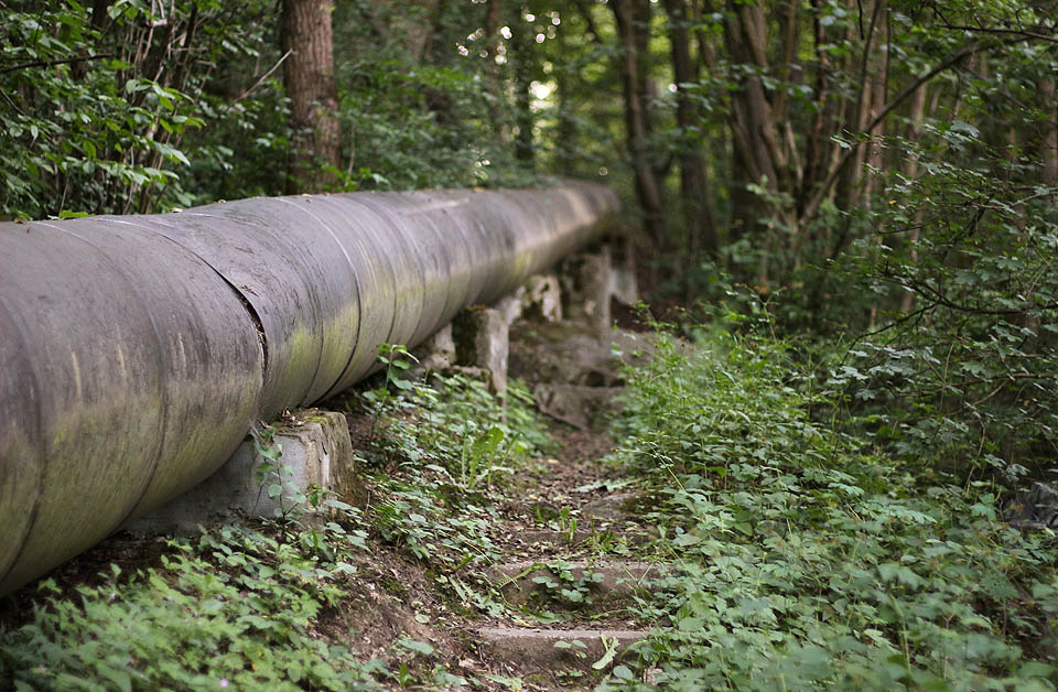 Na závěr fotka z cesty z Blanska na Bačinu - cestička pod čistírenským potrubím zvaná lidově „Vole pokloň se“.