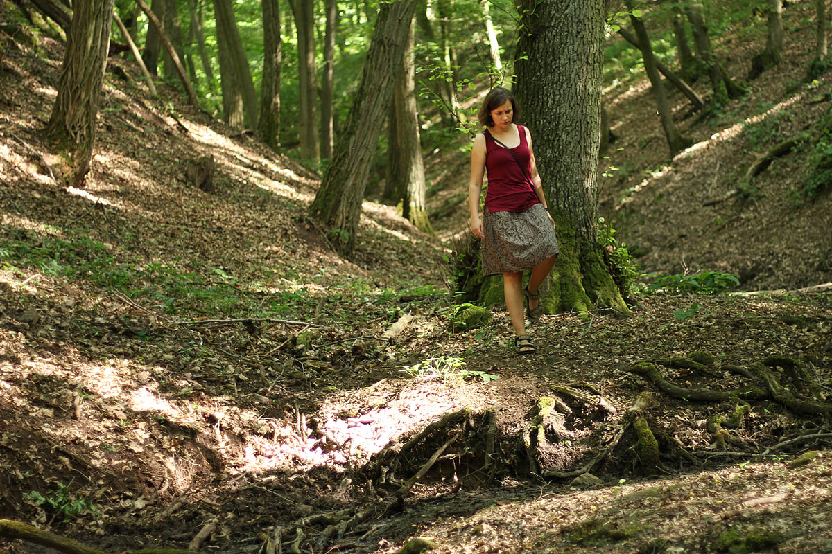 Malý bublající potůček stéká od studánky národní přírodní rezervací Krumlovsko-rokytenské slepence ke skutečnému vodopádu, útvaru to na jižní Moravě převzácnému.