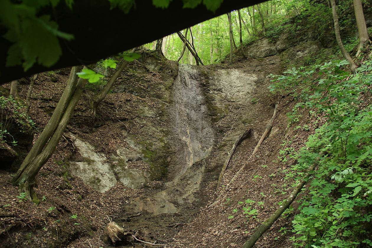 Po překonání všech nástrah, skalních skluzů, padlých kmenů a mazlavých bažin spatří oko dobrodruhovo přírodní div, jaký nemá v dalekém okolí obdoby. V bujné zeleni si připadáme skoro jako Alberto Vojtěch Frič.