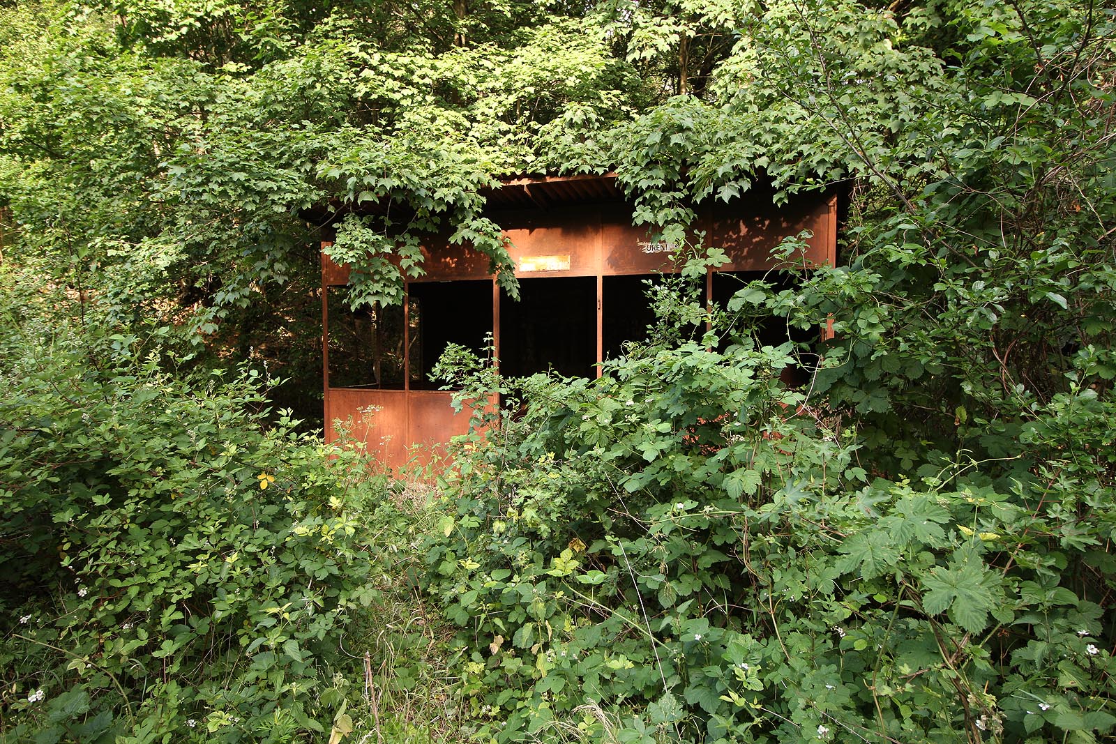 Romantickým cílem naší cesty je také <a href=/Tema/Budkovice%20(%C5%BEzast)>zastávka Budkovice</a>. Vlaky tu nezastavují už od roku 2005 a čekárnu pomalu pojídá džungle.