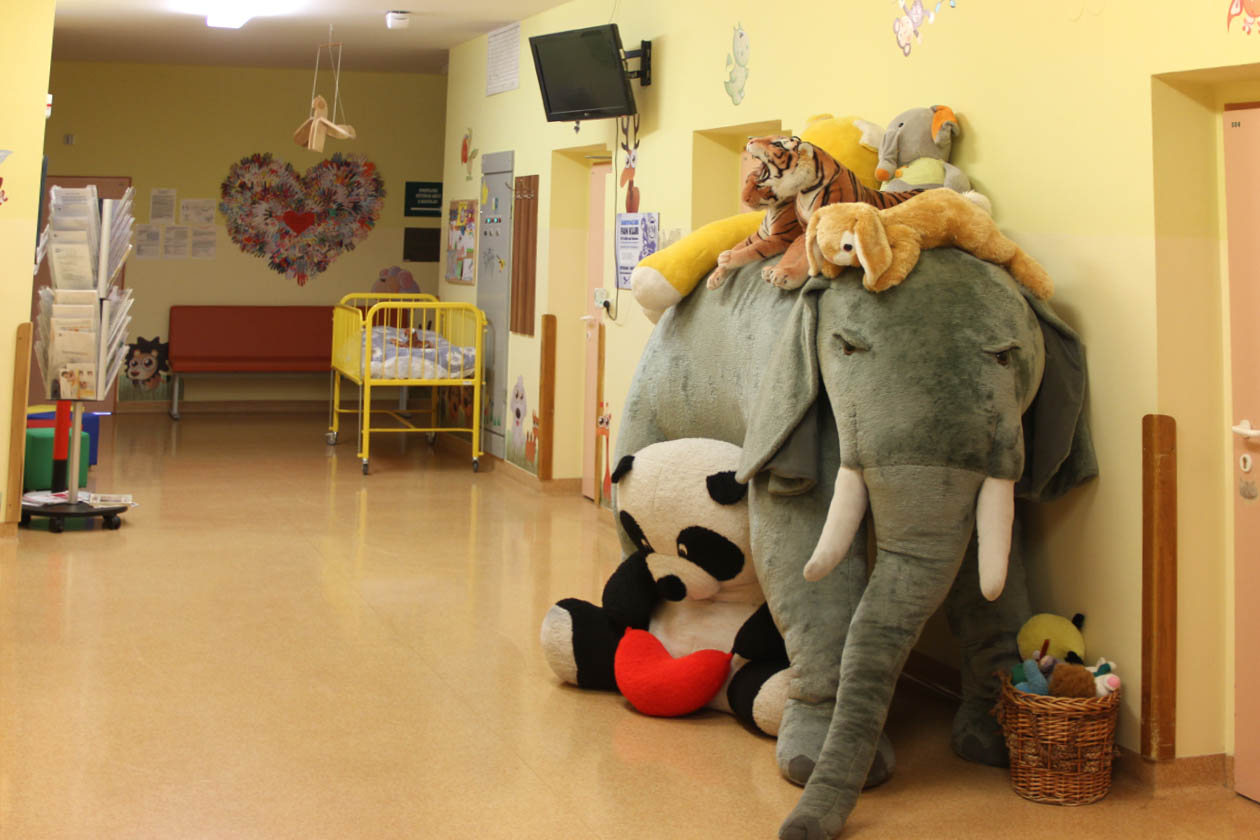 Několikadenní pobyt v nemocnici během tábora jim nikdo nezáviděl. To se ovšem nedá říct o plyšovém slůněti v životní velikosti.