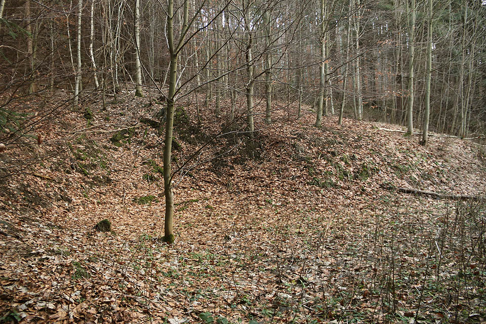 Z javornických dolů nezůstalo na povrchu takřka nic. Toto je zavalený vstup do nejvyššího, 1. patra štol, kde se 10 let dobýval uran pro Sovětský svaz.