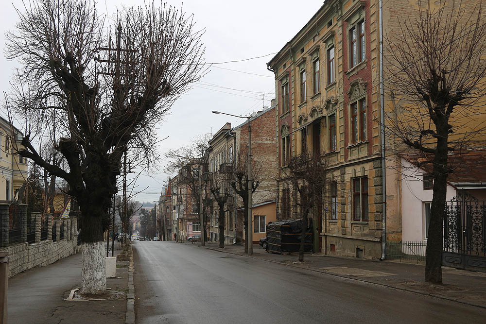 Z ulic a domů v Černovicích přímo sálá atmosféra konce 19. století. Zdobné domy, dlážděné ulice a kované plůtky člověka okamžitě přenesou do dob, kdy pod habsburskou nadvládou společně žily, trpěly a radovaly se rozličné národy východní Evropy. Čekáme jen, kdy se objeví kočáry s koňmi, umolousaní kluci s prakem a dámy v širokých šatech.